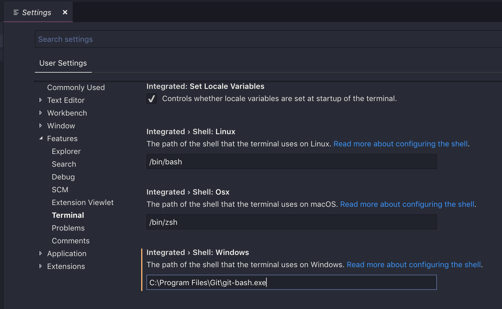 visual studio code git path settings.json