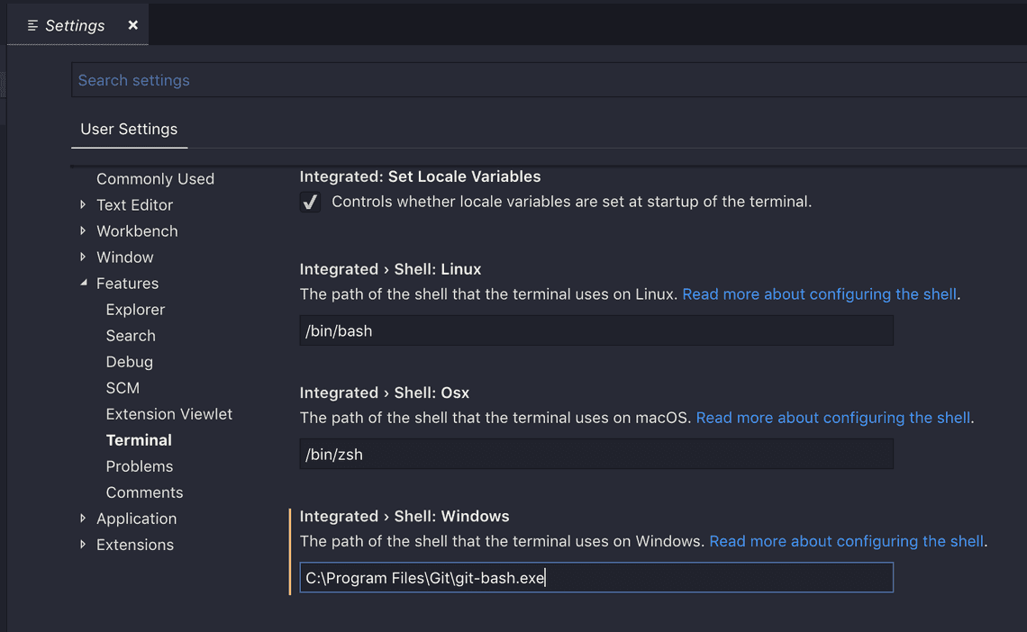 Setting git-bash executable path in vscode integrated terminal